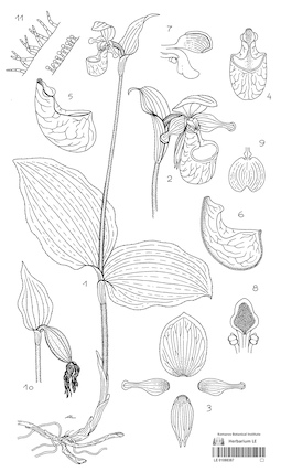 LE 01088387