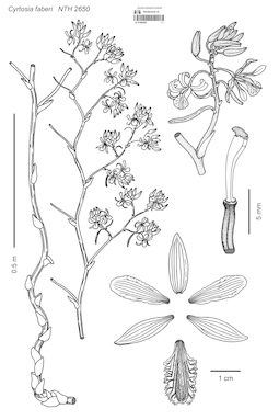 LE 01088389