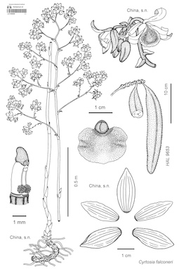 LE 01088390