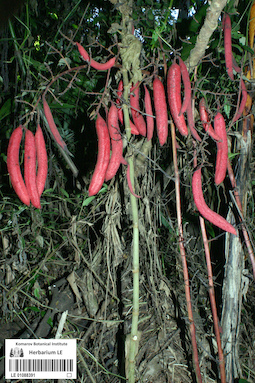 LE 01088391