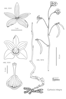 LE 01088392