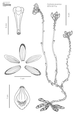 LE 01088396