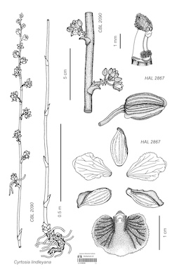 LE 01088399