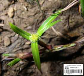 LE 01093197