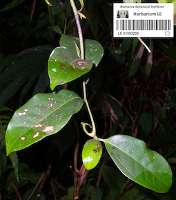 LE 01093200
