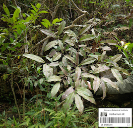 LE 01093205