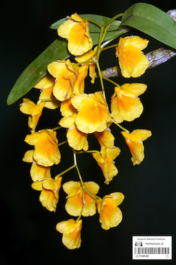 LE 01088480