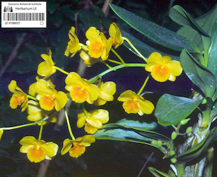 LE 01088521