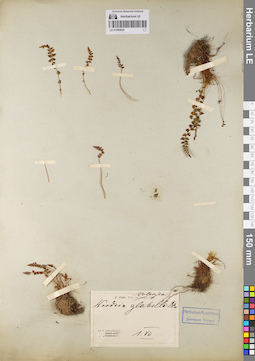 LE 01080838