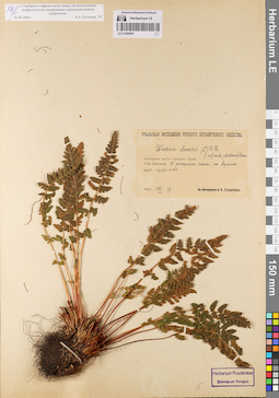 LE 01080941