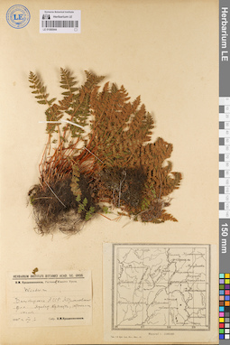 LE 01080944