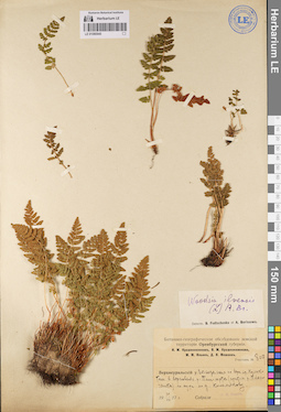 LE 01080945