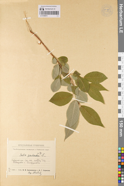 LE 01080972