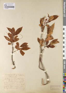 LE 01080974