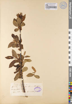 LE 01086027