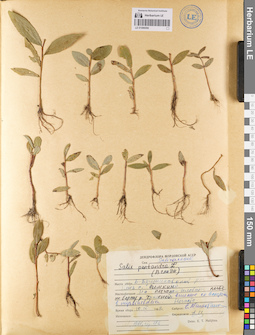 LE 01086090