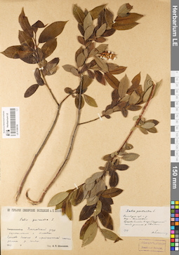 LE 01086106