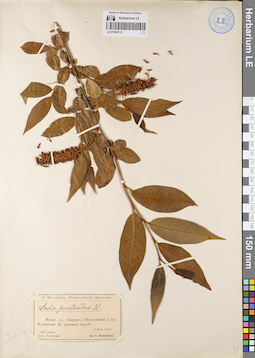 LE 01086112