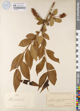 LE 01086116