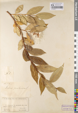 LE 01086117