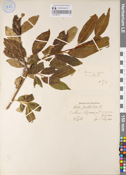 LE 01086119