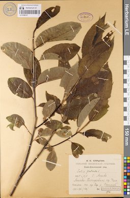 LE 01086147
