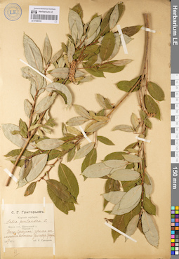 LE 01086163