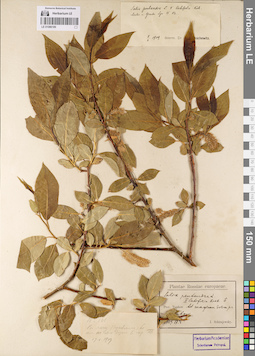 LE 01086189