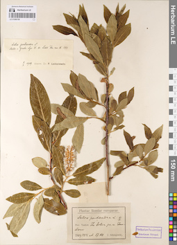 LE 01086190