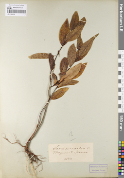 LE 01086199