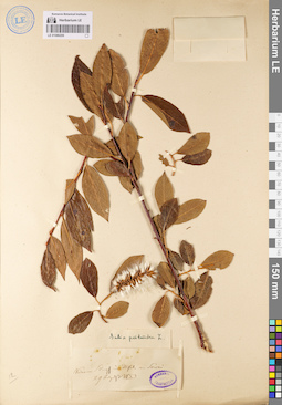 LE 01086209