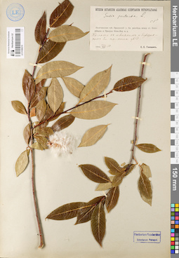 LE 01086215