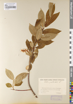 LE 01086217