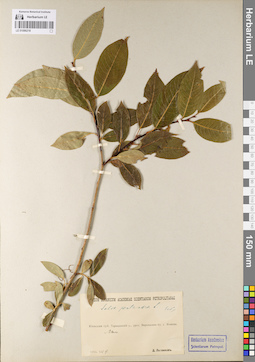 LE 01086218