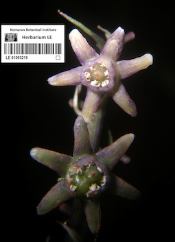 LE 01093219
