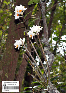 LE 01088556