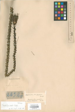 LE 00001148