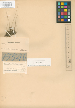 LE 00001224