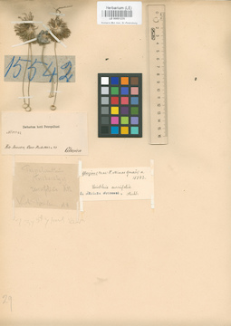 LE 00001235