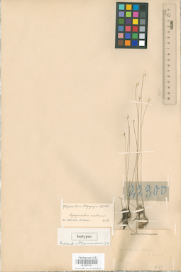 LE 00001244