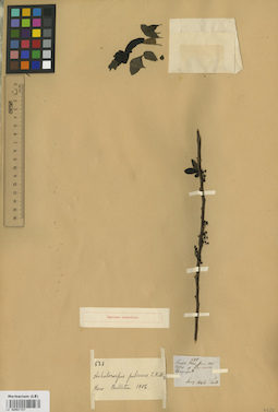 LE 00001727
