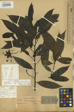 LE 00001767