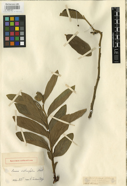LE 00001867