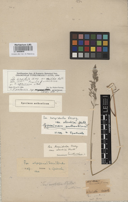 LE 00009649