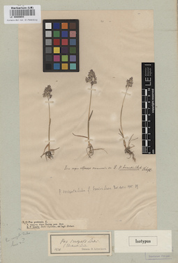 LE 00009654