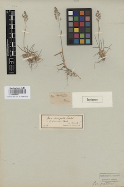 LE 00009655