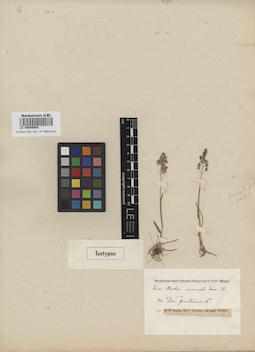 LE 00009658