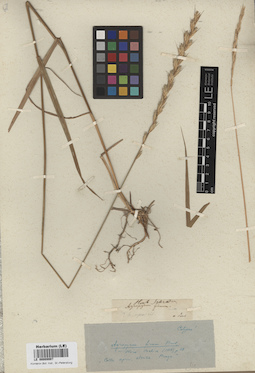 LE 00009997