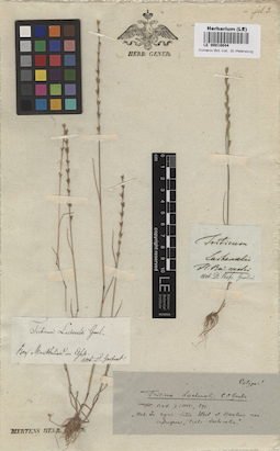 LE 00010044