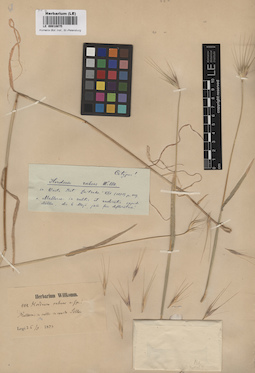 LE 00010075